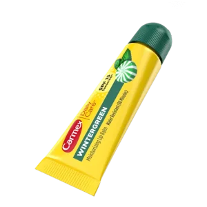Carmex Daily Care Moisturizing LipBalm with SPF WinterGreen
